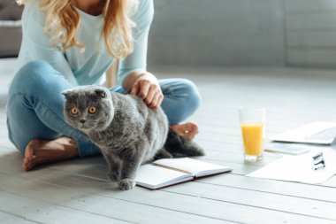 genç kadın bir kedi sevişme