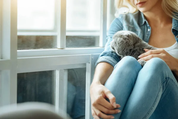 Frau streichelt ihre Katze — Stockfoto