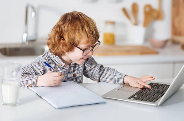 Цікава блискуча дитина використовує свій ноутбук — стокове фото