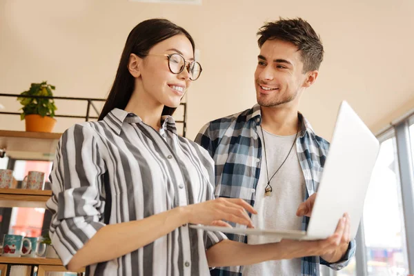 Socios comerciales que verifican información en laptop — Foto de Stock