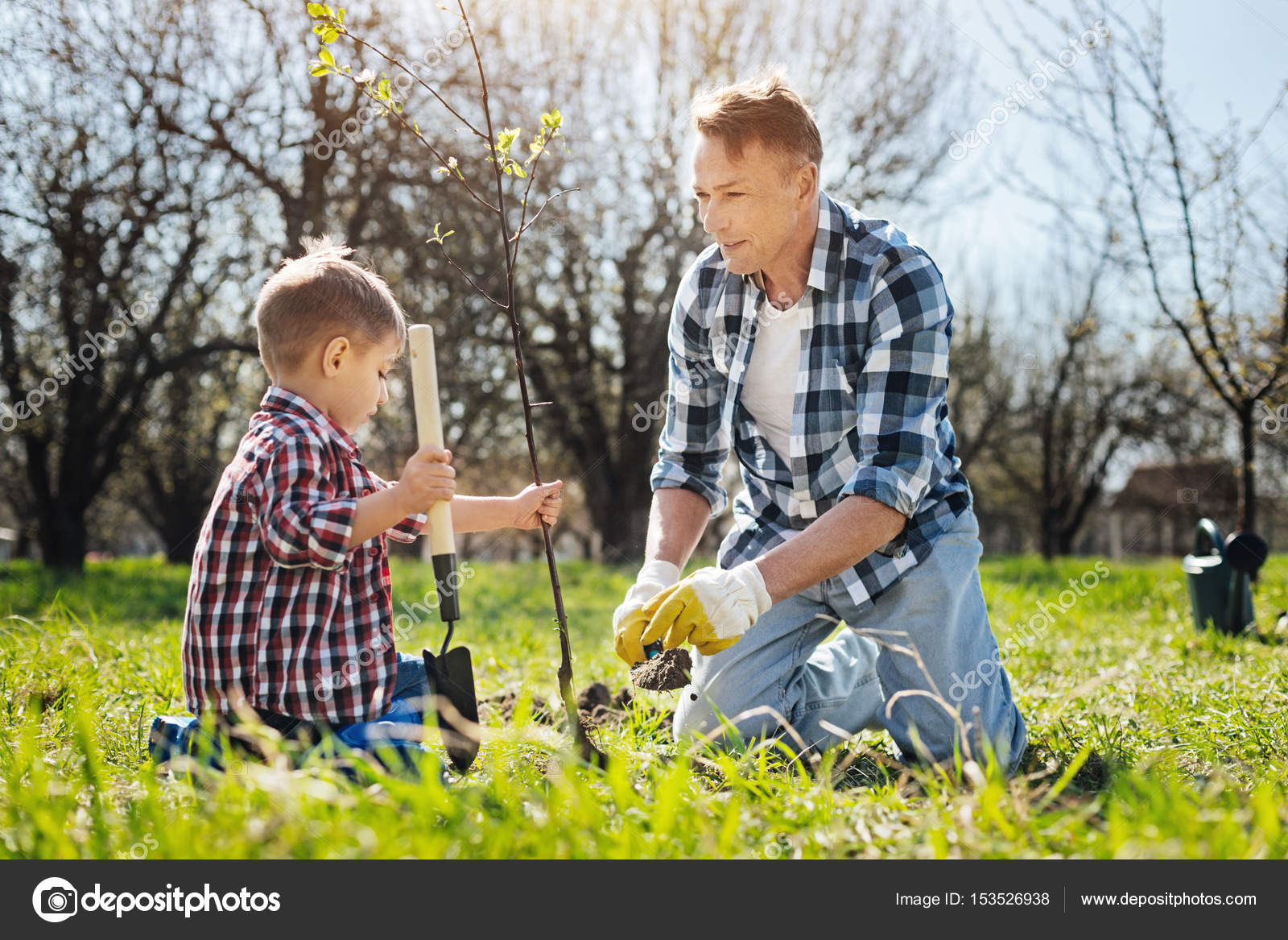 папа дерево. папа дерево. папа и сын сажают дерево. дерево для детей. дети сажают деревья.