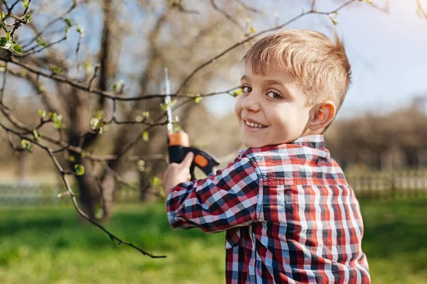 Charmante kind kijken camera terwijl snoeien bomen — Stockfoto