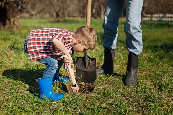 Close up of boy working with granddad in backyard — Stock Photo, Image