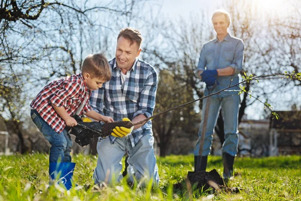 Senior tuinman kijken zijn zoon en kleinkind instelling boom — Stockfoto