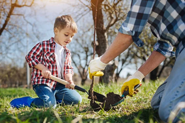 Little boy planting tree with his dad — Stock Photo, Image