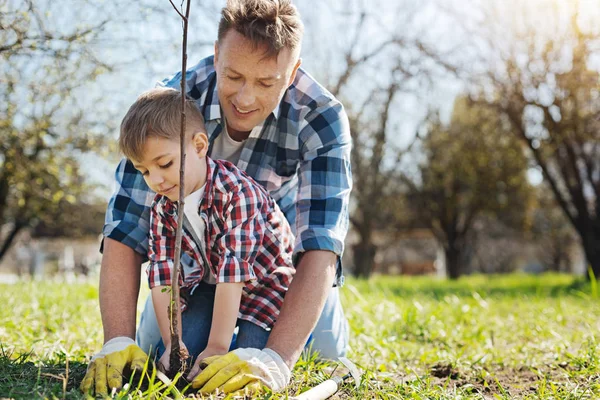 Team of two male family members gardening together — Stock Photo, Image