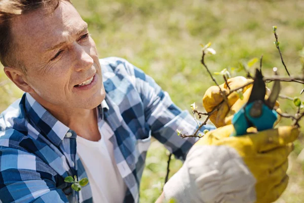 Hombre de mediana edad podando árboles en primavera — Foto de Stock