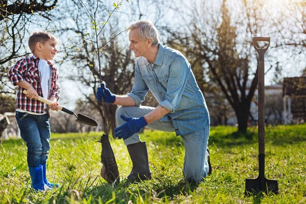 Giardiniere e bambino che mette albero in giardino — Foto Stock