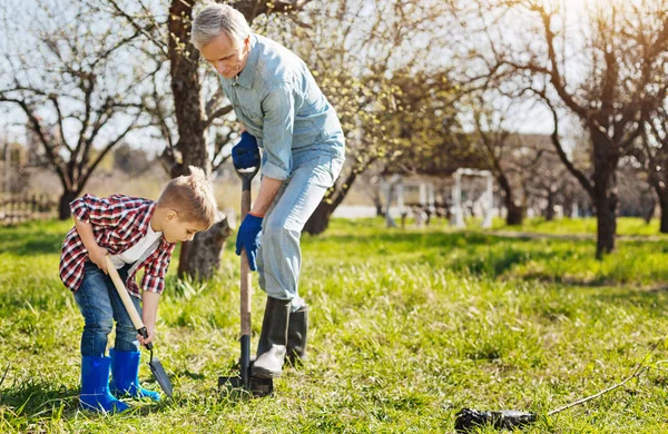 Дедушка и ребенок сажают вместе дерево — стоковое фото