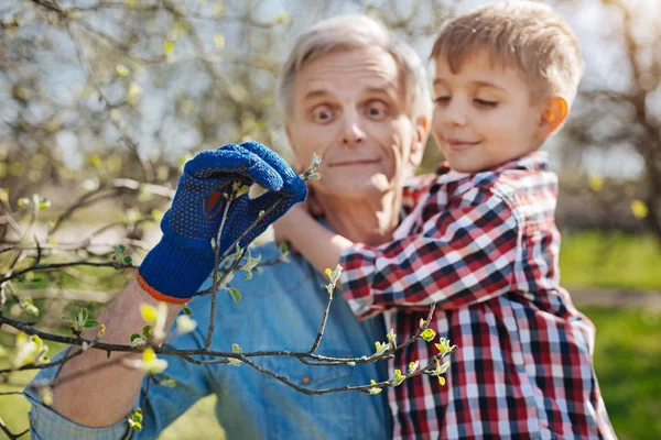 Садівник з онуком у дворі — стокове фото