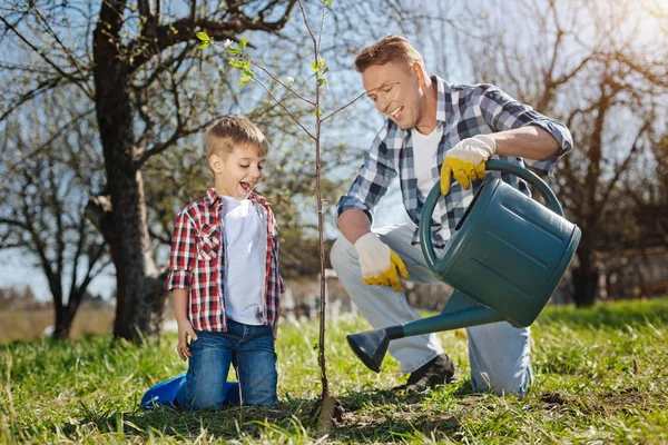 Izgatott, apa és fia ömlött a kertben gyümölcs fa — Stock Fotó