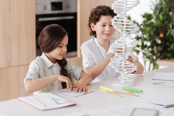 Pleasant little children examining DNA model — Stock Photo, Image