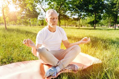Barışçıl pratik yoga Park adam yaşlı