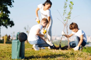 Kız kardeşi ve erkek kardeşi doğa için iyi yapmaya