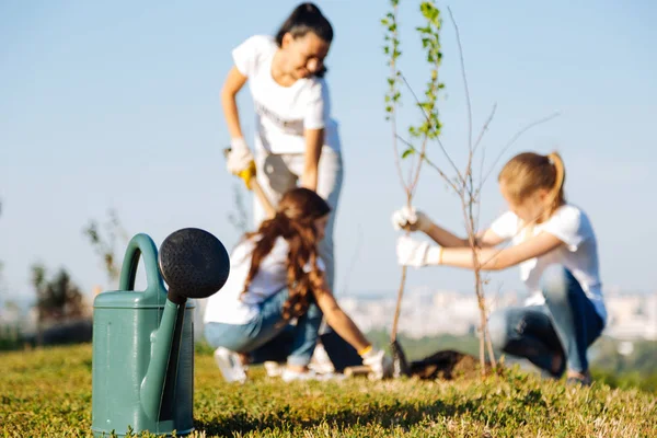 Jenter som hjelper hverandre når de planter trær – stockfoto