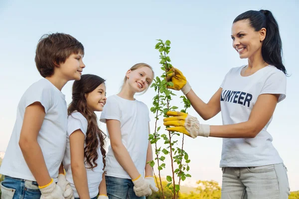 Mujer encantada mostrando planta joven — Foto de Stock