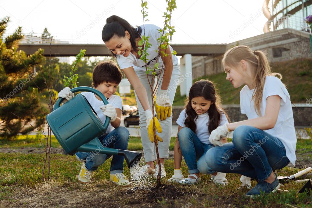 Attentive boy pouring new plant