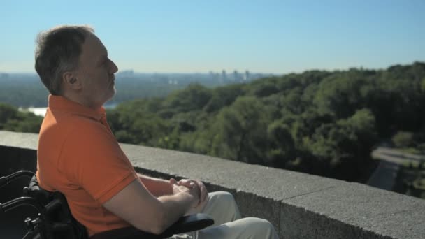 Ernstige wheelchaired man geniet van het uitzicht over de prachtige landschappen — Stockvideo