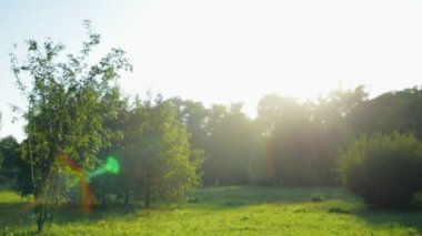 Bir yaz park Panorama görünümünü