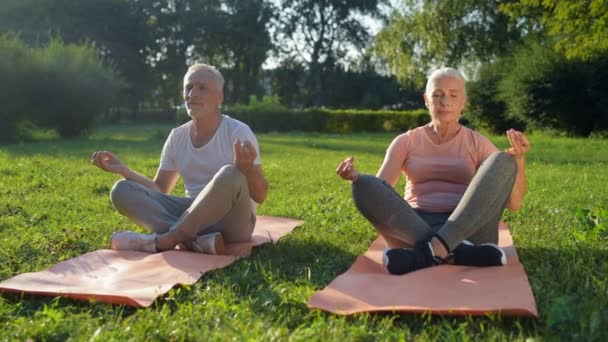 Par njuter av yoga i parken — Stockvideo