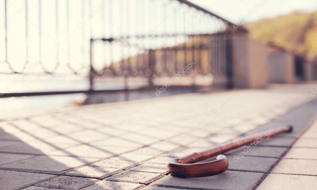 Wooden cane lying on paved sidewalk