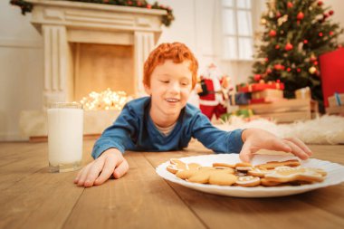 Neşeli çocuk başka bir zencefilli kurabiye adam için ulaşan