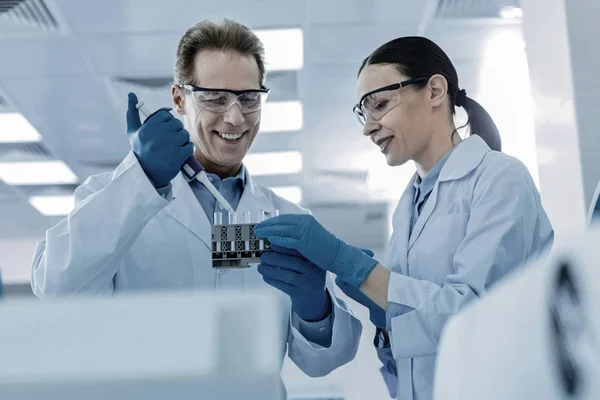 Pleasant smart scientists working together — Stock Photo, Image