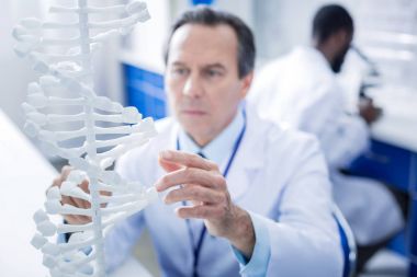 Seçici odak bir Dna modeli