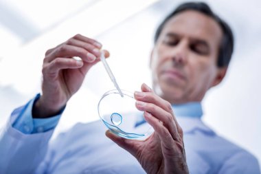 Seçici odak analiz için kullanılan test örneği