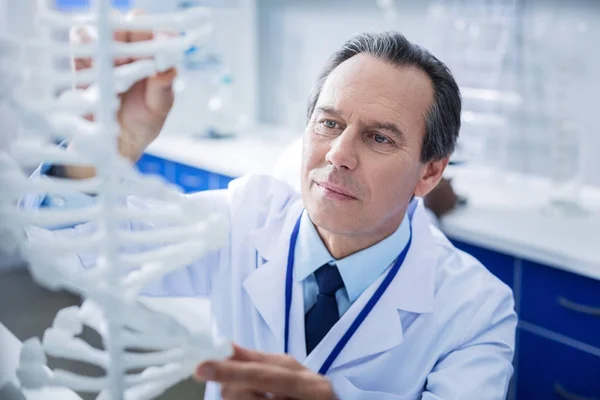 Serious intelligent man looking at the gene model — Stock Photo, Image