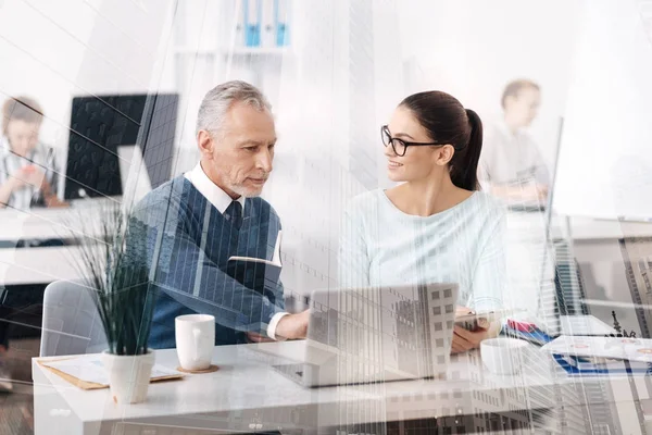 Positive Büroangestellte arbeiten gemeinsam am Projekt — Stockfoto