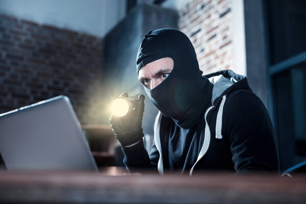 Computer burglar stealing computer data