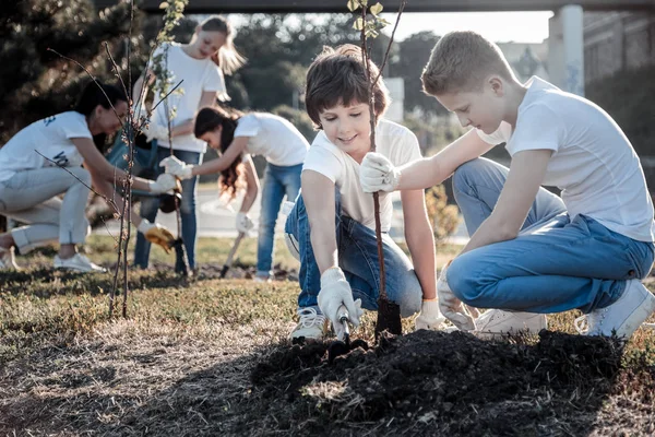 Chicos inteligentes positivos plantando un árbol — Foto de Stock