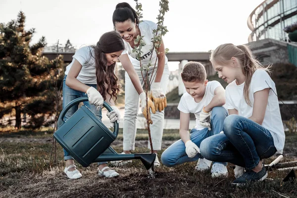 Bella ragazza positiva che si prende cura dell'albero — Foto Stock