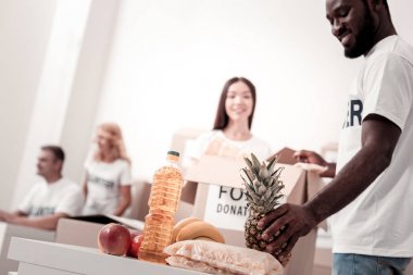 Yakışıklı melez ananas seyir