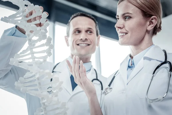 Amazed cute nurse standing and looking at the DNA model. — Stock Photo, Image