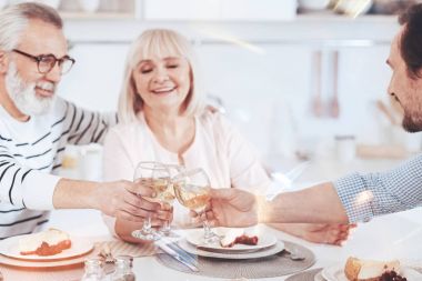 Enjoyable time together. Positive smiling loving aged parents drinking wine with their son while sitting in the kitchen and having family celebration clipart