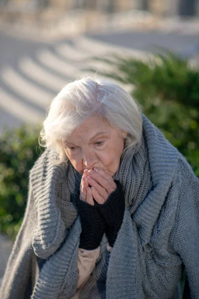 Сірошерстий безпритульний пенсіонер почувається дуже холодним на вулиці — стокове фото