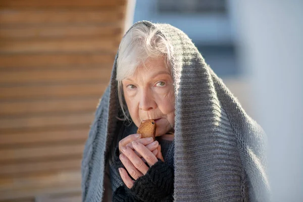 Mujer sin hogar envejecida comiendo pequeña galleta —  Fotos de Stock