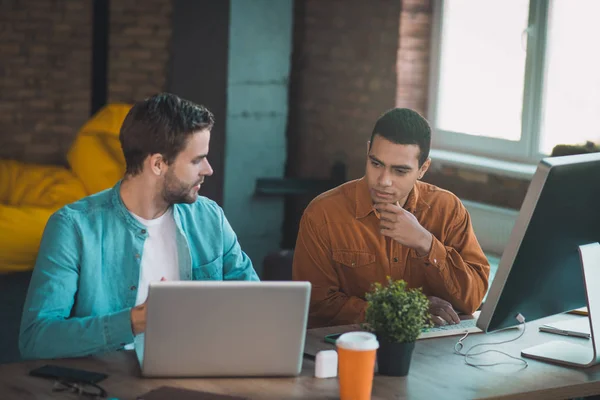 Agradables colegas jóvenes que hablan de su trabajo — Foto de Stock