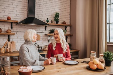 Two mature grey-haired positive ladies looking excited