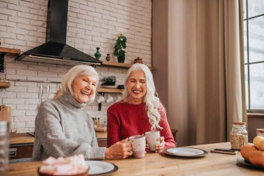 Two mature grey-haired positive ladies smiling nicely