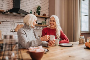 Two mature grey-haired positive ladies talking during breakfast