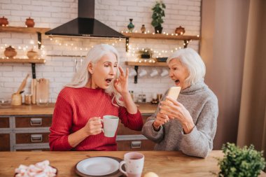 Two mature grey-haired positive ladies feeling amused