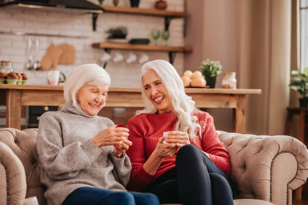 Two grey-haired pleasant cute ladies talkig about skin care — Stockfoto