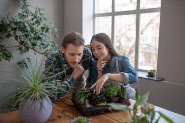 Birlikte bitkilerle ilgilenen mutlu çift.