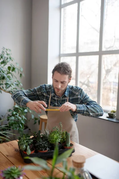 男人在智能手机上给植物拍照 — 图库照片