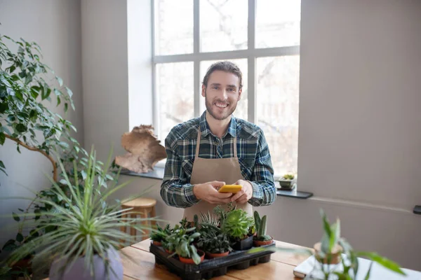 Hombre sonriente plantando suculentas para tienda online —  Fotos de Stock