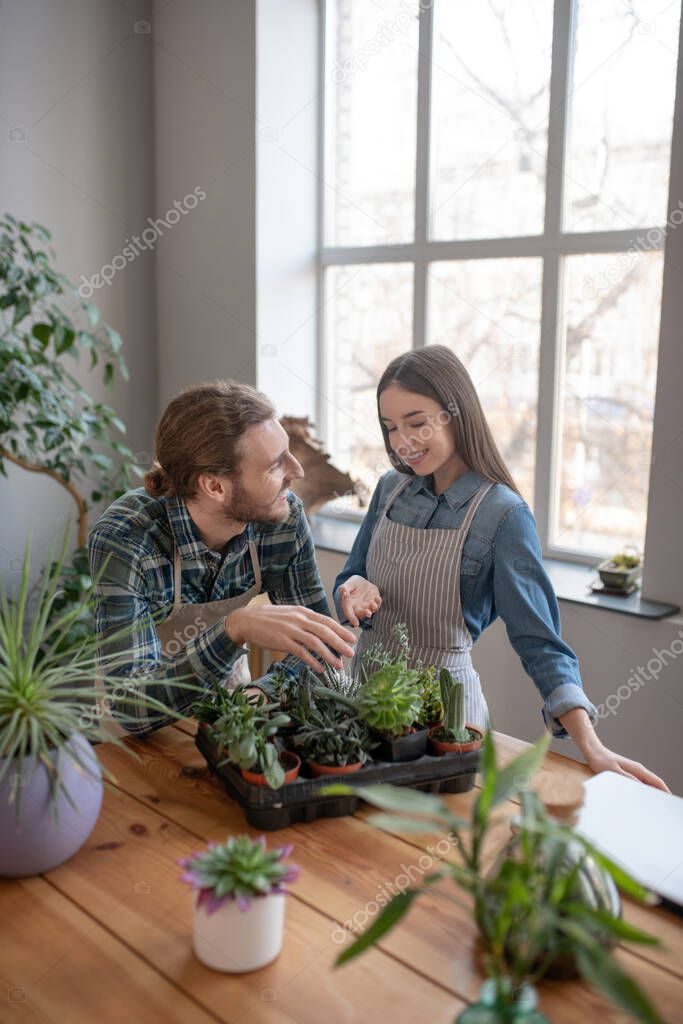 Smiling man and woman looking after succulents together