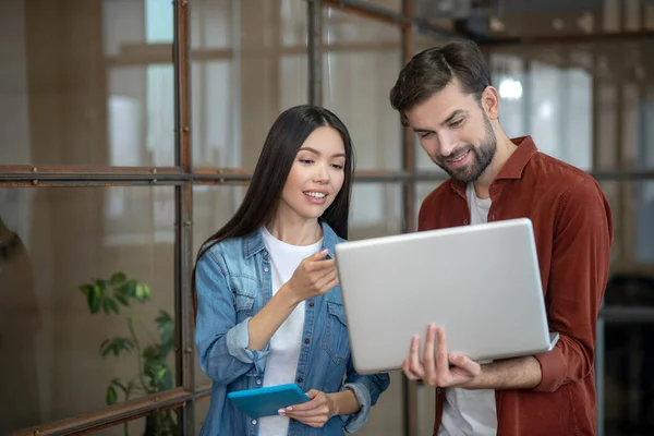 Beraded knappe man in een bruin shirt en zijn vrouwelijke collega op zoek naar de laptop — Stockfoto